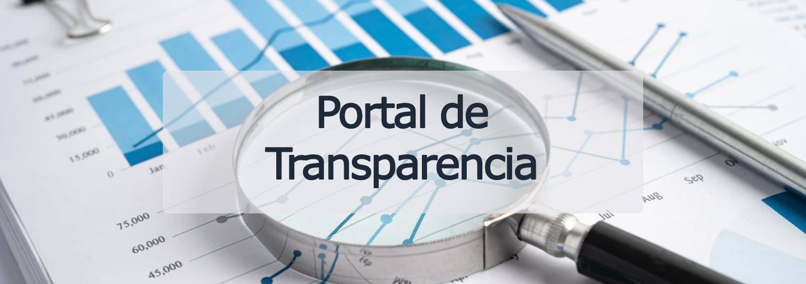 Banner Edudata
